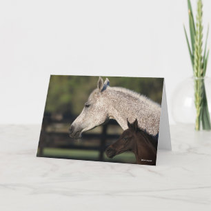 Bob Langrish   Arab Mare and Foal Headshot Card