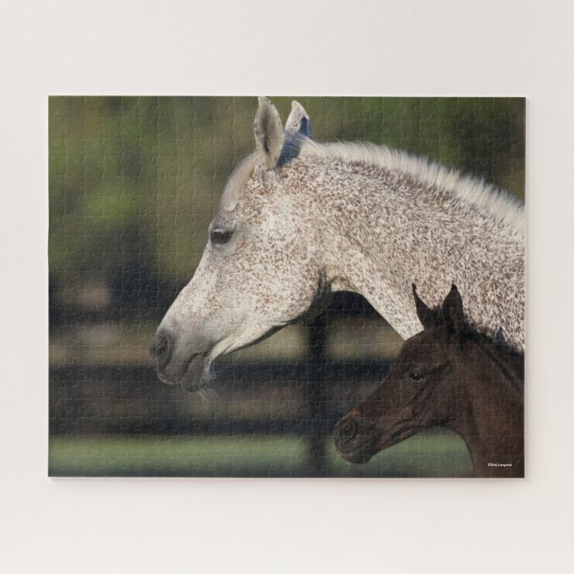 Bob Langrish | Arab Mare and Foal Headshot Jigsaw Puzzle (Horizontal)
