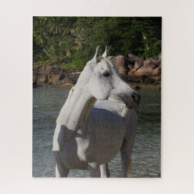 Bob Langrish Arab Mare Standing In Water Headshot Jigsaw Puzzle (Vertical)