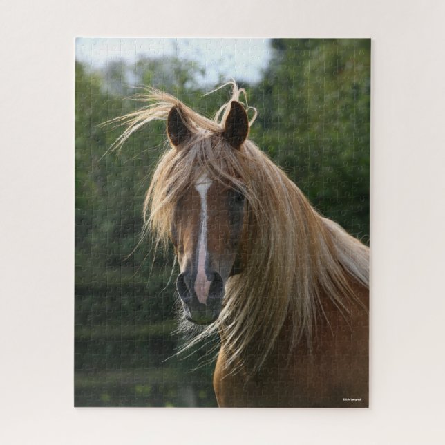 Bob Langrish | Arab Stallion Headshot Jigsaw Puzzle (Vertical)