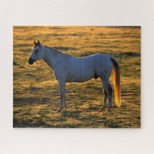 Bob Langrish   Arab Standing Backlit Jigsaw Puzzle