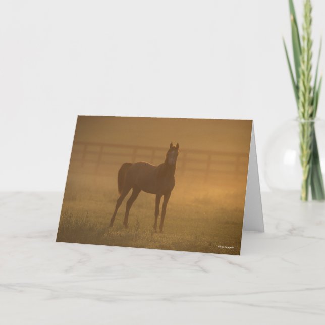 Bob Langrish | Arab Standing In Mist Card (Front)