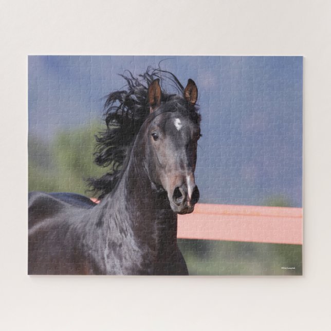 Bob Langrish | Back Andalucian Headshot Jigsaw Puzzle (Horizontal)