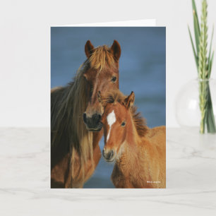 Bob Langrish   Banker Pony Mare and Foal Headshot Card