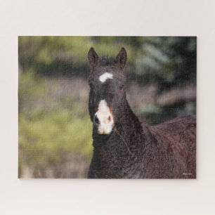 Bob Langrish Bashkir Curly Mare headshot Jigsaw Puzzle