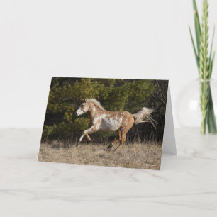 Bob Langrish   Bashkir Curly Stallion Running Card