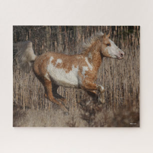 Bob Langrish   Bashkir Curly Stallion Running Jigsaw Puzzle