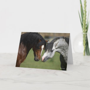 Bob Langrish   Bay and Grey Welsh Ponies Meeting Card