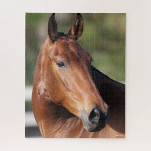 Bob Langrish Bay Andalucian Headshot Jigsaw Puzzle