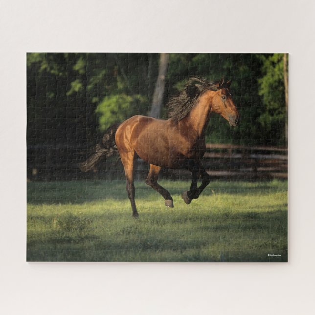 Bob Langrish | Bay Andalucian Horse Running Jigsaw Puzzle (Horizontal)