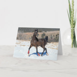 Bob Langrish   Bay Arab Horse Running In Snow Card