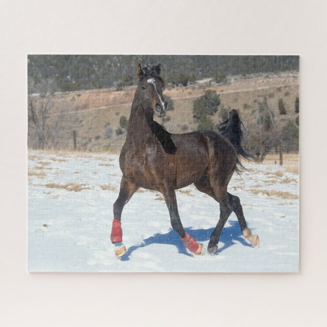 Bob Langrish | Bay Arab Horse Running In Snow Jigsaw Puzzle (Horizontal)