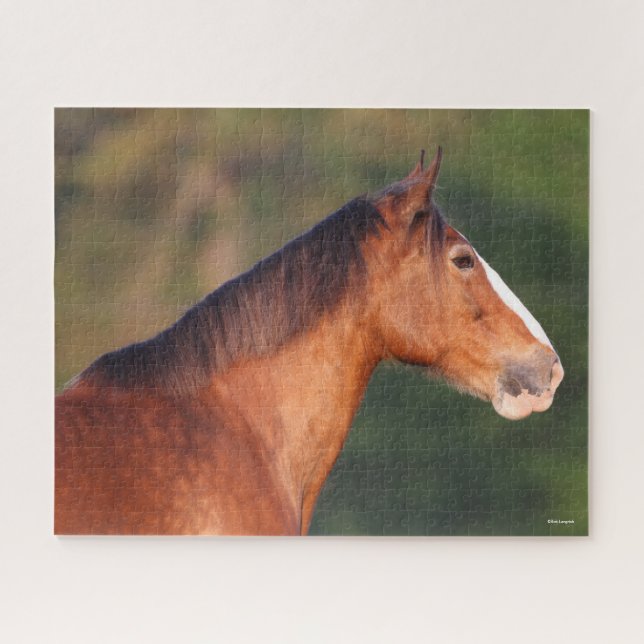 Bob Langrish | Bay Clydesdale Headshot Jigsaw Puzzle (Horizontal)