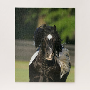 Bob Langrish Black and White Gypsy Vanner Headshot Jigsaw Puzzle