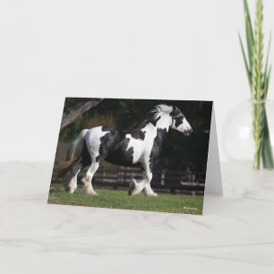 Bob Langrish Black and White Gypsy Vanner Walking Card