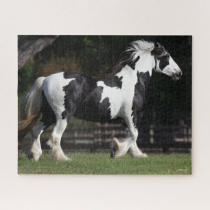 Bob Langrish Black and White Gypsy Vanner Walking Jigsaw Puzzle