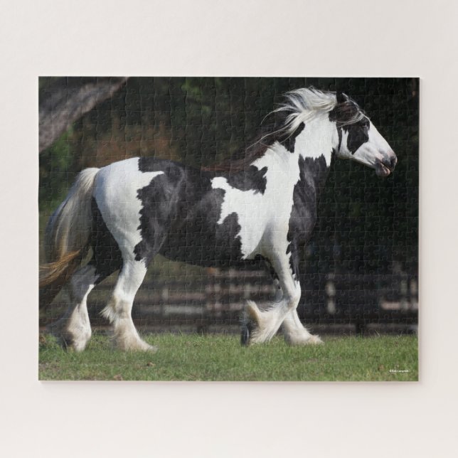 Bob Langrish Black and White Gypsy Vanner Walking Jigsaw Puzzle (Horizontal)