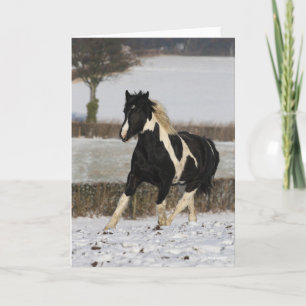 Bob Langrish Black and White Welsh Cob In The Snow Card