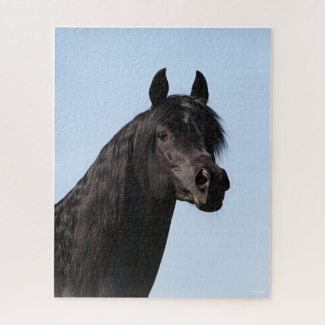 Bob Langrish | Black Arab Stallion headshot Jigsaw Puzzle (Vertical)