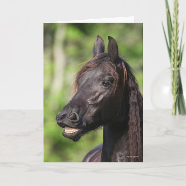 Bob Langrish | Black Friesian Flehmen Headshot Card (Front)