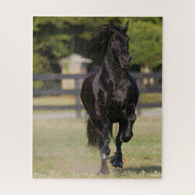 Bob Langrish | Black Friesian Horse Running Jigsaw Puzzle (Vertical)