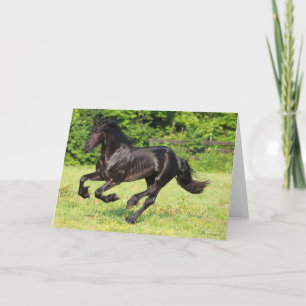 Bob Langrish   Black Friesian Running Card
