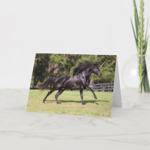 Bob Langrish   Black Lusitano Running Card