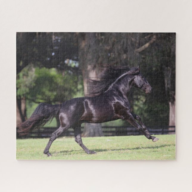 Bob Langrish | Black Lusitano Running Jigsaw Puzzle (Horizontal)