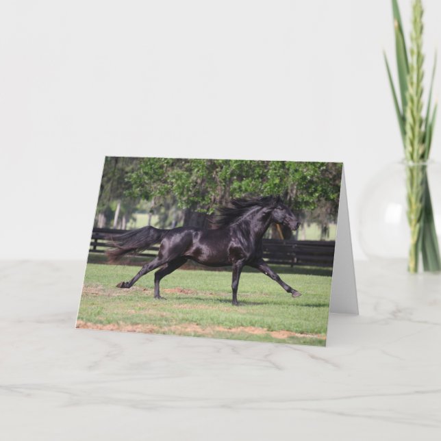 Bob Langrish | Black Lusitano Running Mane Flowing Card (Front)