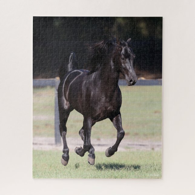 Bob Langrish | Black Tennessee Walker Running Jigsaw Puzzle (Vertical)