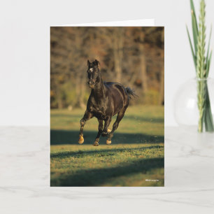 Bob Langrish   Black Thoroughbred Running Card