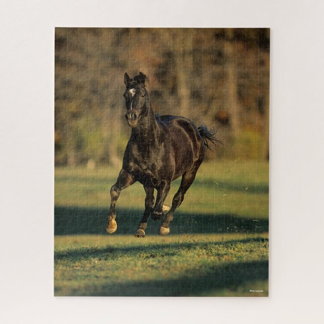 Bob Langrish | Black Thoroughbred Running Jigsaw Puzzle (Vertical)