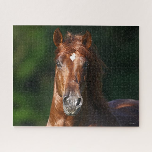 Bob Langrish Chestnut Andalucian Stallion Headshot Jigsaw Puzzle (Horizontal)