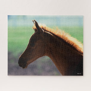 Bob Langrish   Chestnut Arab Foal backlit Headshot Jigsaw Puzzle