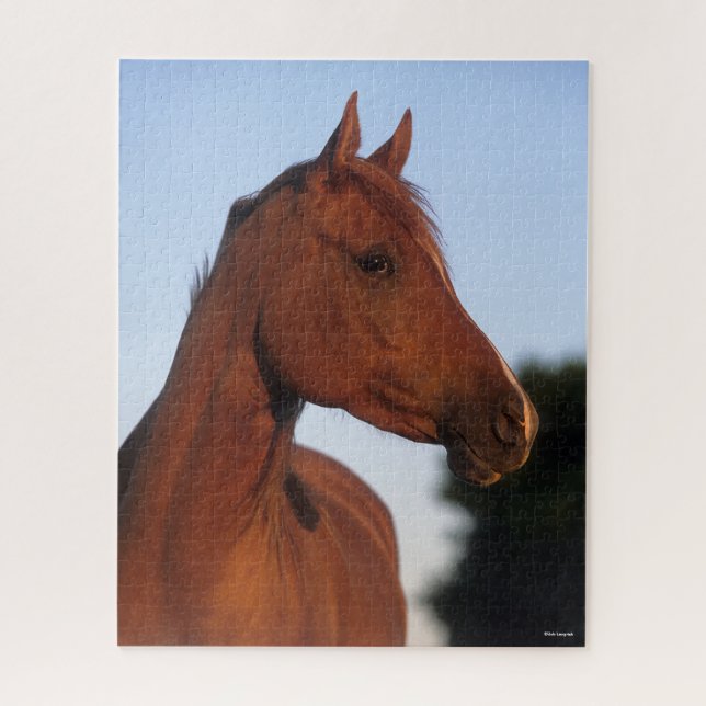 Bob Langrish | Chestnut Arab Headshot Jigsaw Puzzle (Vertical)