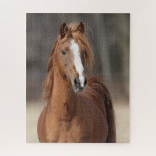 Bob Langrish   Chestnut Hackney Pony headshot Jigsaw Puzzle