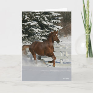Bob Langrish   Chestnut Horse Running In The Snow Card
