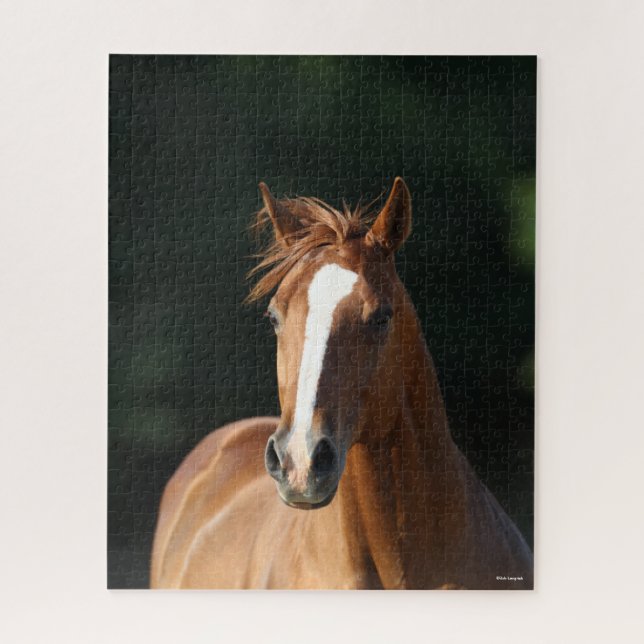 Bob Langrish | Chestnut Quarter Horse Headshot Jigsaw Puzzle (Vertical)