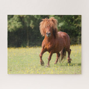 Bob Langrish   Chestnut Shetland Pony Stallion Jigsaw Puzzle