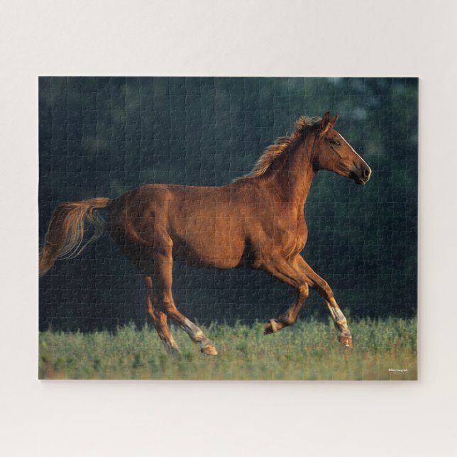 Bob Langrish | Chestnut Warmblood Running Jigsaw Puzzle (Horizontal)