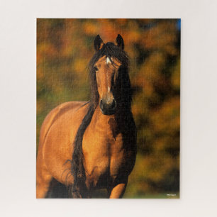 Bob Langrish   Chocktaw Pony Standing Headshot Jigsaw Puzzle