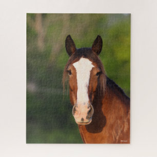 Bob Langrish   Clydesdale headshot Jigsaw Puzzle