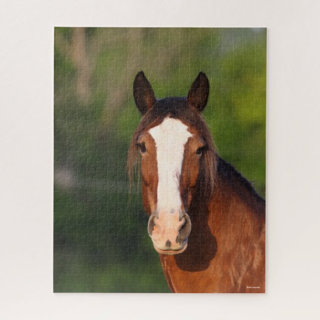 Bob Langrish | Clydesdale headshot Jigsaw Puzzle (Vertical)