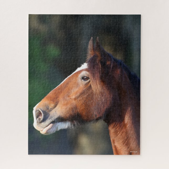 Bob Langrish | Clydesdale headshot Jigsaw Puzzle (Vertical)