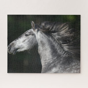 Bob Langrish   Dapple Grey Andalucian headshot Jigsaw Puzzle