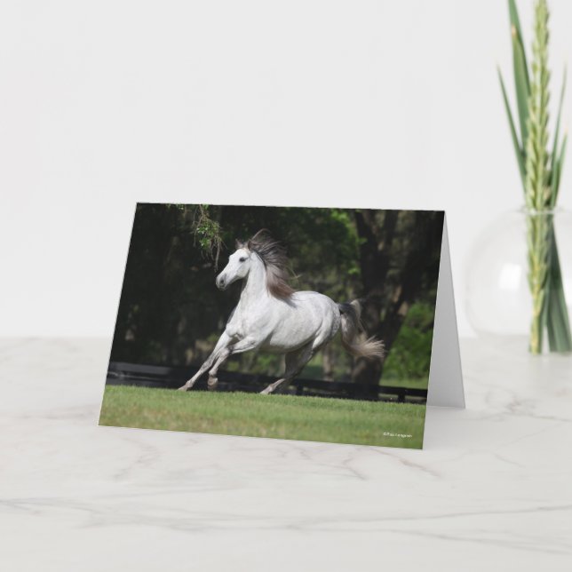 Bob Langrish | Dapple Grey Andalucian Running Card (Front)