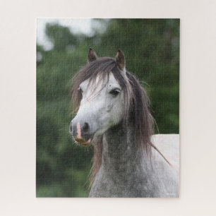 Bob Langrish   Dapple Grey Welsh Pony Headshot Jigsaw Puzzle