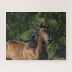 Bob Langrish   Dark Bay Quarter Horse Headshot Jigsaw Puzzle