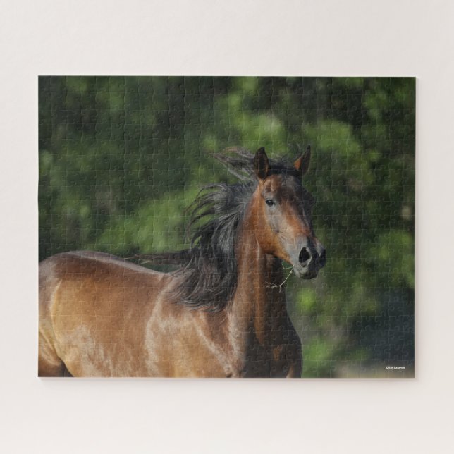 Bob Langrish | Dark Bay Quarter Horse Headshot Jigsaw Puzzle (Horizontal)