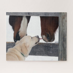 Bob Langrish   Dog Licking Horses Nose Jigsaw Puzzle